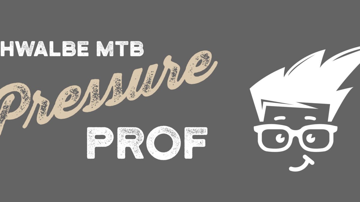 Schwalbe Pressure Prof