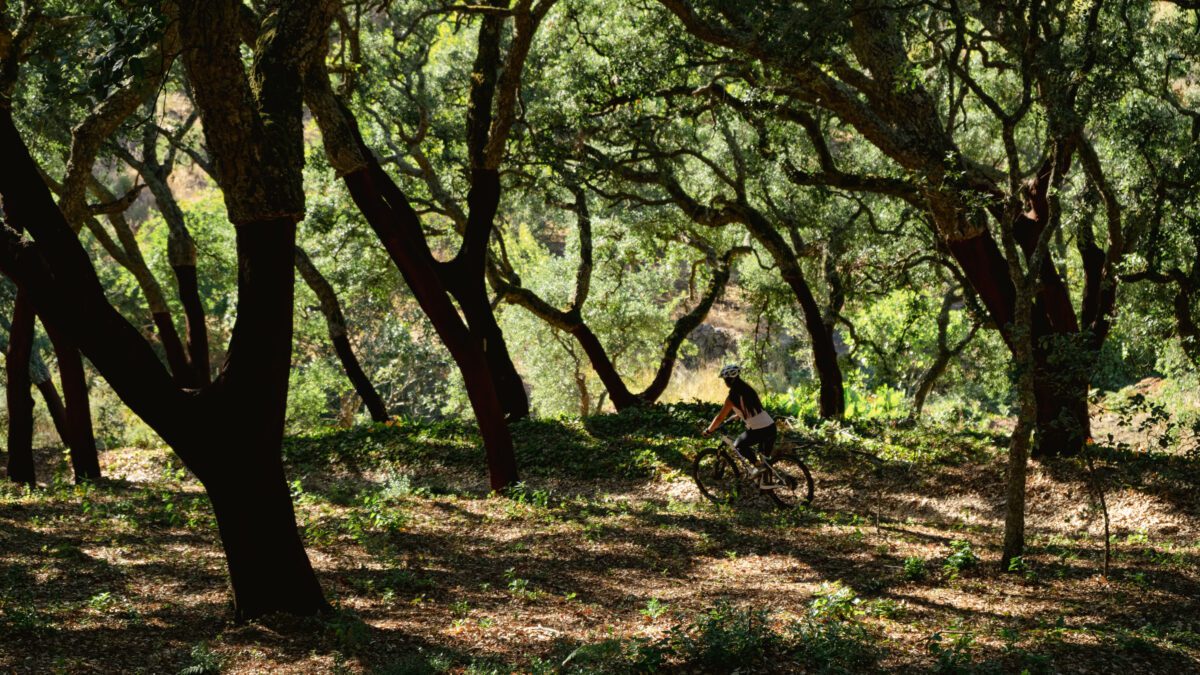 Fietsen op de top van de Algarve | Monchique | Portugal