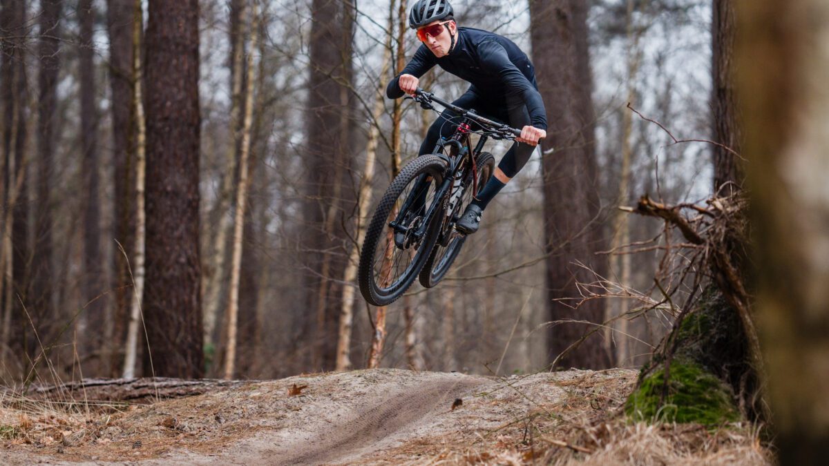 Brabantse Wal & Grenspark Kalmthoutse Heide