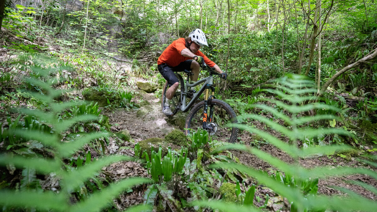 Ons Team | De Bikers achter het blad