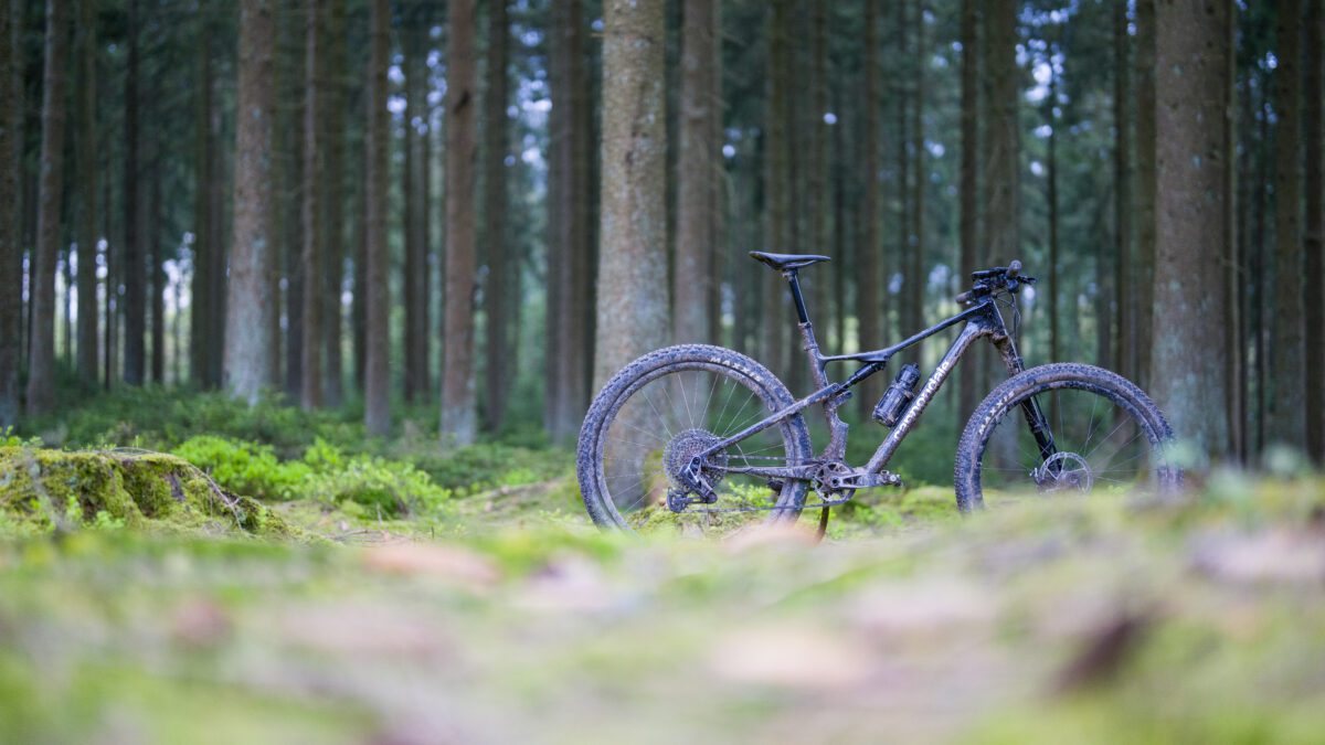 De volwassen mountainbike | Nieuwe Cannondale Scalpel